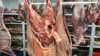 قیمت گوشت قرمز امروز یکشنبه ۳ آبان ۱۴۰۵/ گوشت گوسفندی و گوساله کیلویی چند؟ + جدول