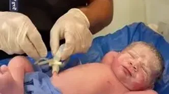 ژست پادشاهانه نوزاد تازه متولد شده پربازدید شد