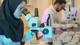 انتشار جزئیاتی از برنامه بازگشت نخبگان به کشور
