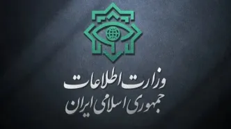 اطلاعیه مهم وزارت اطلاعات/ تروریست‌های وارداتی قبل از خرابکاری در ۳شهر دستگیر شدند
