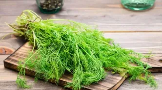تأثیر شگفت‌انگیز شوید بر کبد چرب
