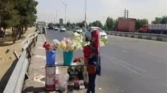 جمع‌آوری گل‌فروشان اطراف بهشت زهرا
