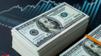 قیمت دلار امروز دوشنبه ۱۳ مهر ۱۴۰۵/ افزایش قیمت دلار