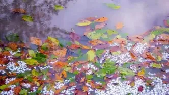 بارش برف پاییزی در این مناطق کشور