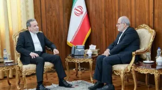 دیدار سفیر جمهوری اسلامی ایران در ایرلند با عراقچی