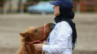 تصاویر؛ جشنواره زیبایی اسب‌ کاسپین