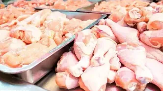 چرا برخی فروشگاه‌ها مرغ کالابرگی نمی‌فروشند؟