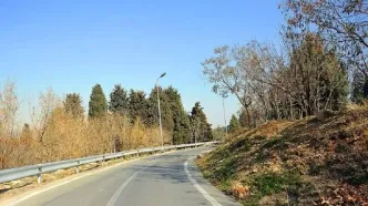 قطع و جایگزینی ۳۵ هزار اصله درخت در پارک سرخه حصار