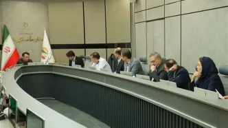 پشتوانه پرداخت یارانه‌ها در سال ۱۴۰۶ بررسی شد