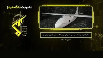نیروی دریایی سپاه از شکار پهپاد آمریکایی MQM-170 در تنگه هرمز خبر داد
