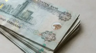 قیمت درهم امارات امروز یکشنبه 19 مهر 1405