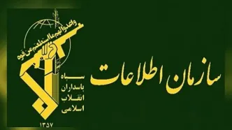 وزارت اطلاعات: انهدام ۴ شبکه خرابکاری خیابانی و بازداشت ۳۱ عامل مرتبط با دشمن در کرمان