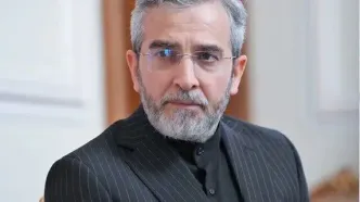 باقری: مقام‌های ارشد عربستان، پاکستان و ترکیه به تهران سفر می‌کنند