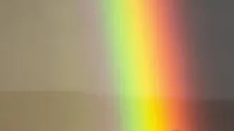 گوزن شمالی در قاب رنگین‌کمان