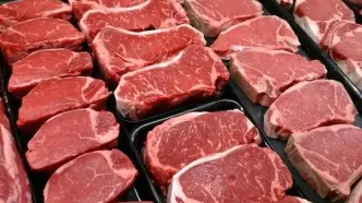 قیمت گوشت قرمز امروز دوشنبه ۱۳ مهر ۱۴۰۵/ گوشت گوسفندی و گوساله کیلویی چند؟ + جدول