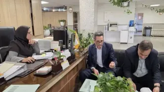 بررسی روند پرداخت تسهیلات ازدواج و فرزندآوری در بازدید بازرس کل بانک و بیمه سازمان بازرسی از شعب بانکی منطقه تهرانپارس