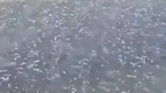 بارش شدید تگرگ در سراوان