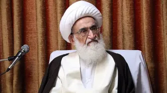 آیت‌الله نوری همدانی صدور احکام حبس و اعدام علیه علمای منطقه را محکوم کرد
