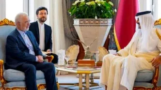 وزیر کشور در دومین روز سفر به قطر با امیر قطر دیدار کرد