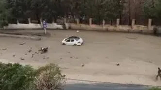 سیلاب در کرج خودروها را با خود برد