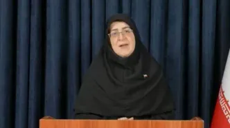سخنگوی دولت: برای همه سناریوها آمادگی کامل داریم/ واردات خودرو فعلا متوقف شده است / در مرز ایران و پاکستان باز و تردد جریان دارد