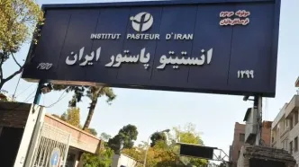 اهمیت تمدید همکاری انستیتو پاستور ایران با سازمان جهانی بهداشت