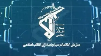 بازداشت مزدوران مجازی شبکه اینترنشنال در هرمزگان