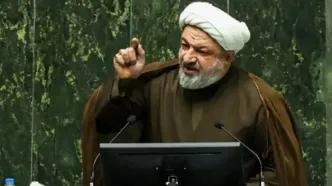 سخنرانی دختر رسایی در یک تجمع شبانه به نفع پدرش
