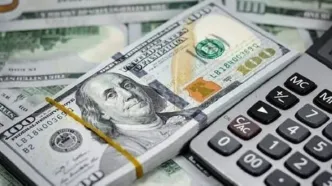 آغاز فروش ارز تا سقف ۱۰۰۰۰ دلار در شعب منتخب بانک ملت در سراسر کشور