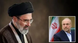 دیدار رئیس مجلس شورای اسلامی با رهبر معظم انقلاب