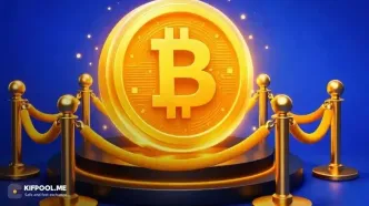 پیش‌ فروش توکن (Token Presale) چیست؟ راهنمای جامع و بررسی ریسک‌ها