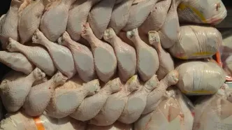 مرغ ارزان شد + خبر جدید از بازار مرغ